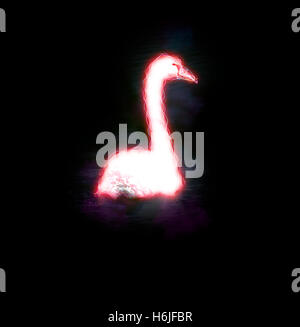 Migliorate digitalmente immagine di un cigno bianco nuotare nel fiume Danubio, Austria Foto Stock