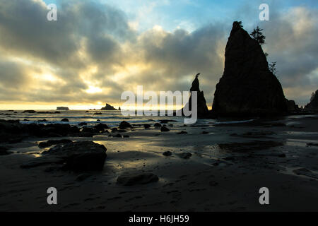 Rialto spiaggia al tramonto. La spingere Washington USA il parco nazionale di Olympic Foto Stock