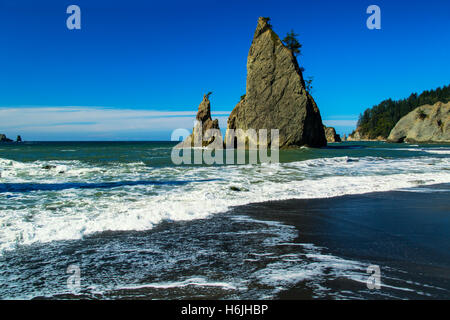 Spiaggia di Rialto. La spingere Washington USA il parco nazionale di Olympic Foto Stock