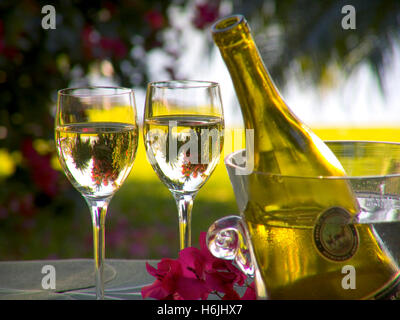 Bicchieri da vino bianco per le vacanze, bicchiere e bottiglia di cristallo tavolo da giardino all'aperto all'aperto con fiori di bougainvillea e palma alberi dietro in un ambiente di vacanza esotico di lusso Foto Stock