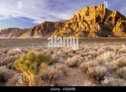 Spring Mountain Range, Nevada Foto Stock