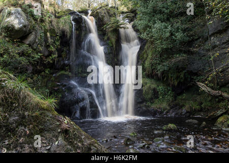 Posforth Gill cascata, Yorkshire Dales Foto Stock