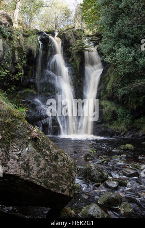 Posforth Gill cascata, Yorkshire Dales Foto Stock