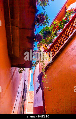 Kiss Vicolo Vicolo Case colorate Guanajuato Messico. Case così vicino giovane può scambiare un bacio tra balconi Foto Stock