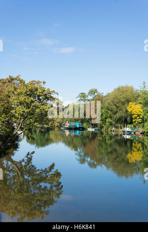 La mattina presto riflessioni sul Fiume Tamigi, Runnymede, Surrey, England, Regno Unito Foto Stock