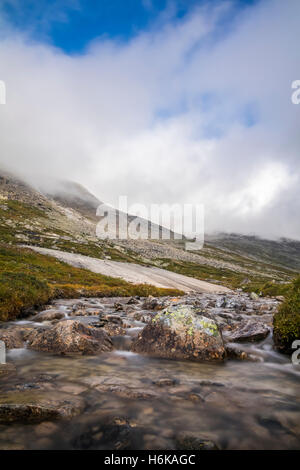 Piccolo torrente che scende da una montagna. Foto Stock