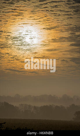 Billinghurst, Sussex, Regno Unito. 31 ott 2016. Il sole sorge su misty colline boscose del West Sussex vicino a Billingshurst. 31 ott 2016 Credit: Guy Bell/Alamy Live News Foto Stock