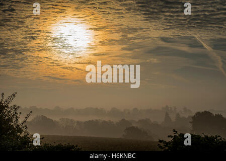 Billinghurst, Sussex, Regno Unito. 31 ott 2016. Il sole sorge su misty colline boscose del West Sussex vicino a Billingshurst. 31 ott 2016 Credit: Guy Bell/Alamy Live News Foto Stock