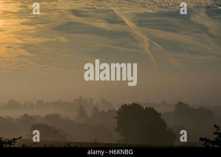 Billinghurst, Sussex, Regno Unito. 31 ott 2016. Il sole sorge su misty colline boscose del West Sussex vicino a Billingshurst. 31 ott 2016 Credit: Guy Bell/Alamy Live News Foto Stock