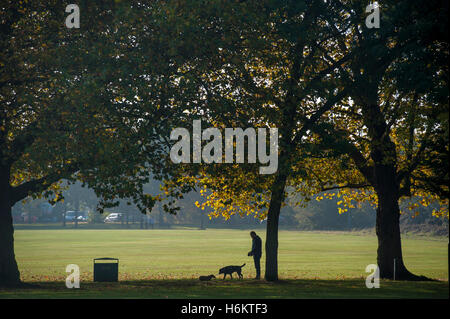 Cane a camminare su Wandsworth Common Foto Stock