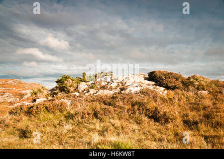 Sperone di roccia nel deserto moorland,assynt Scozia. Foto Stock