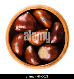 Le castagne in ciotola di legno su sfondo bianco. Semi commestibili o dadi di Castanea sativa, chiamato anche marron. Foto Stock