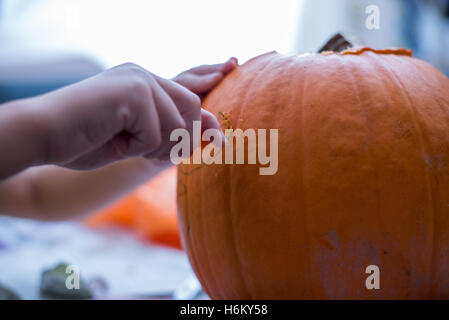 La zucca carving- taglio Foto Stock