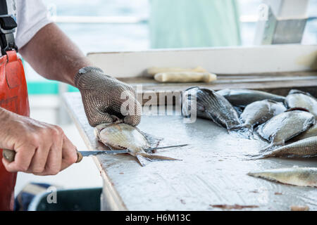 Fisherman sfilettatura pesce Foto Stock
