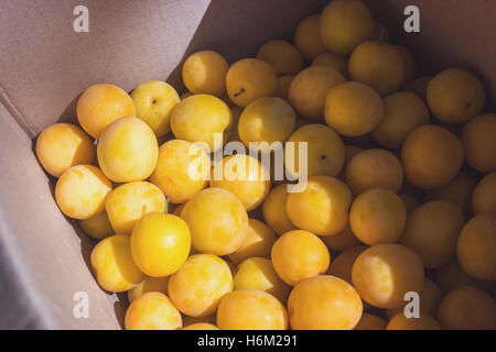 Un sacco di ciliegio giallo le prugne. Foto Stock