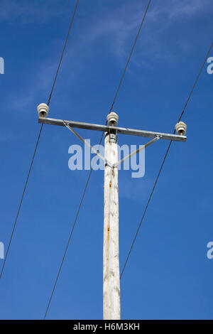 Le linee elettriche con isolatori in porcellana sul traliccio in legno Foto Stock
