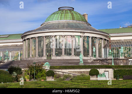 Giardino botanico di Bruxelles, Belgio. Foto Stock