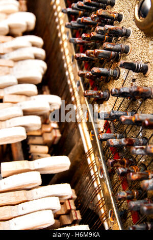 Piano interno di stringhe in prospettiva close up. Foto Stock