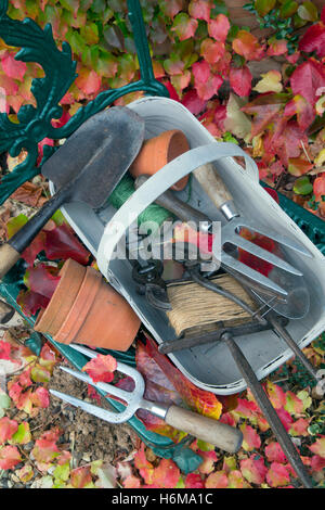 Giardino utensili a mano e terracotta vasi da fiori con caduta foglie di Virginia superriduttore Parthenocissus quinquefolia Foto Stock