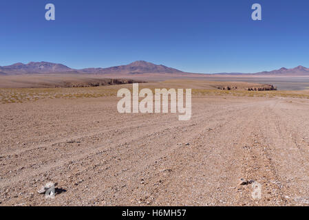 Salar de Tara visto da un più elevato punto di vista distante. Foto Stock