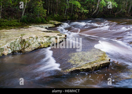 Flusso nella foresta tropicale di Phu Kradueng national park, Loei Thailandia. Foto Stock