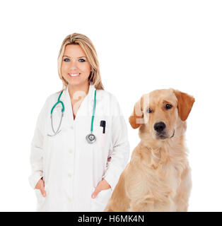 Veterinario bionda con un bel Labrador Retriever isolato su uno sfondo bianco Foto Stock