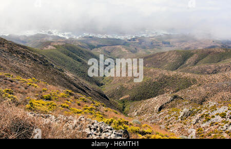 Foggy costa dell'Oceano Pacifico da Rocky Ridge Trail. Foto Stock