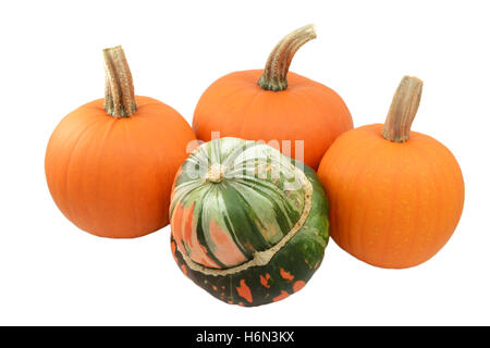 Verde e arancione turchi turban squash con tre arance mature zucche, isolato su uno sfondo bianco Foto Stock