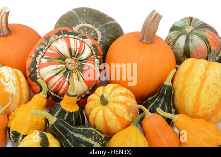 Pila di autunno zucche e schiaccia con coloquintidi ornamentali, contro uno sfondo bianco Foto Stock