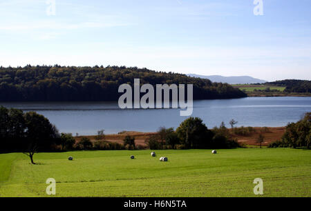 Mindelsee, vista Foto Stock