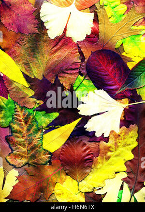 Alienazione della natura Foto Stock