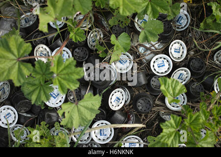 Scartare le capsule di caffè in plastica e alluminio tra il sottobosco. Foto Stock