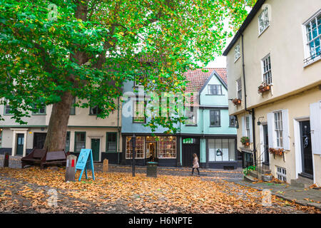 Norwich Old Town, vista di una strada nello storico quartiere di Elm Hill della città di Norwich, Inghilterra, Regno Unito. Foto Stock