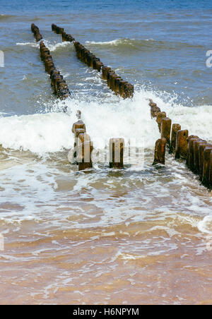 Le onde che si infrangono sulle due linee di frangiflutti in legno poli. Foto Stock