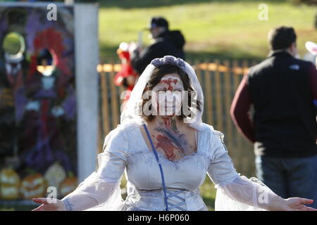 La città di New York, Stati Uniti. 31 ott 2016. Halloween è stato celebrato lo stile di Brooklyn prima di Gufo in testa del Parco dal Senatore di Stato Martin Goldin, che ha messo in scena la sua annuale di Halloween a piedi & Haunted House per la sua Bay Ridge costituenti. Credito: Andy Katz/Pacific Press/Alamy Live News Foto Stock