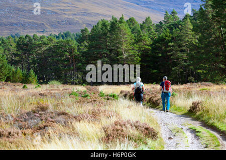 Walkers godendo di autunno Meteo come essi escursione attraverso il Rothiemurchus Estate verso il passaggio che va verso Lairig Ghru, Foto Stock