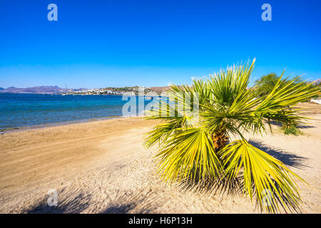 Spiaggia di Bitez a bodrum, Turchia Foto Stock