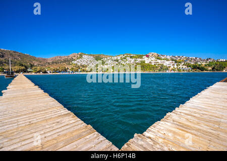 Camel spiaggia di Bitez bodrum, Turchia Foto Stock