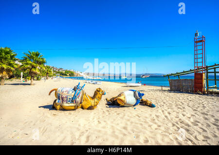 Camel spiaggia di Bitez bodrum, Turchia Foto Stock