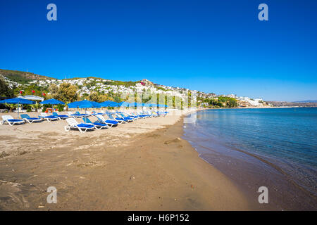 Camel spiaggia di Bitez bodrum, Turchia Foto Stock