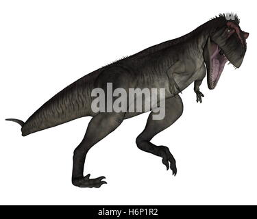 Tyrannotitan ruggente isolato in sfondo bianco - 3D render Foto Stock