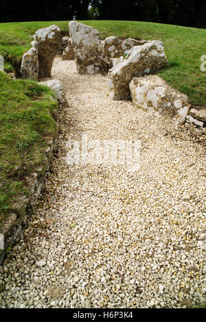 Visualizzare NW dal piazzale di Nympsfield Long Barrow in anticamera con un entrata ristretta che conduce a 3 camere funerarie. Foto Stock