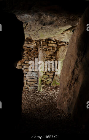 Hetty Pegler's Tump, Uley: visualizza N da SW lato camera attraverso la galleria per bloccato coppia di N camere laterali con lastra divisoria Foto Stock