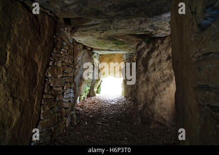 Uley Long Barrow (Hetty Pegler's Tump): vista e dalla camera del terminale verso il basso la galleria per ingresso con lastra dividendo SW & SE camere laterali su R. Foto Stock