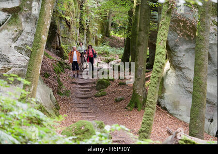 Escursionismo - Lussemburgo - mullerthal trail Foto Stock