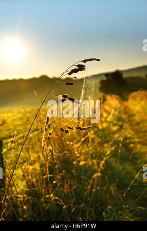 alba tramonto Foto Stock