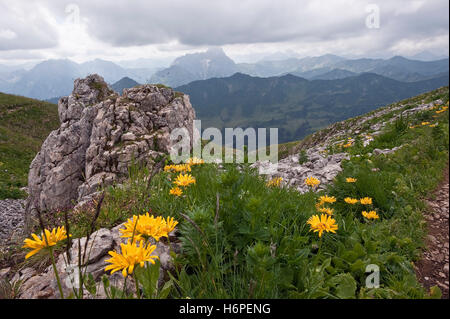 Montagne alpi luogo salire climbing ascend in salita arrampicarsi battistrada allgau montagna pericolo blu protetto un ambiente protetto Foto Stock