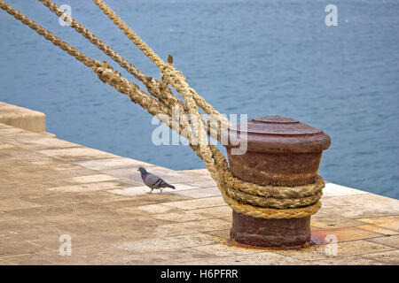 Dettagli blu closeup uccello porto marittimo di pavimentazione di ferro dock recipiente in acciaio metallo arrugginito all'aperto costa la connettività di connessione Foto Stock