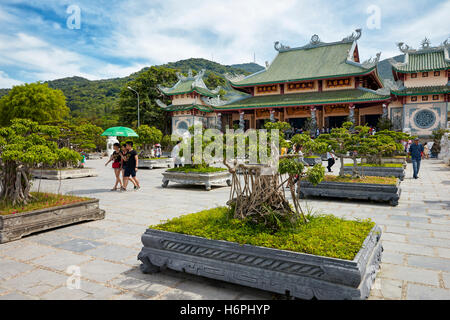 Giardino Bonsai a Linh Ung Pagoda, Da Nang, Vietnam. Foto Stock