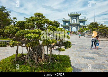 Giardino Bonsai a Linh Ung Pagoda, Da Nang, Vietnam. Foto Stock